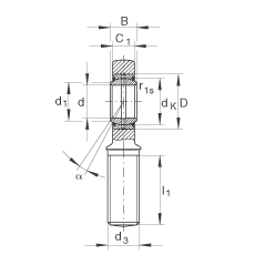杆端轴承 GAR60-DO-2RS, 根据 DIN ISO 12 240-4 标准，带右旋外螺纹，需维护，两侧唇密封